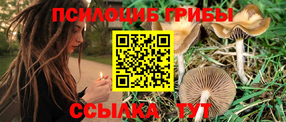 Галлюциногенные грибы ЛСД Миллерово